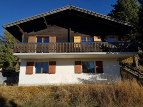 Chalet Bergmann